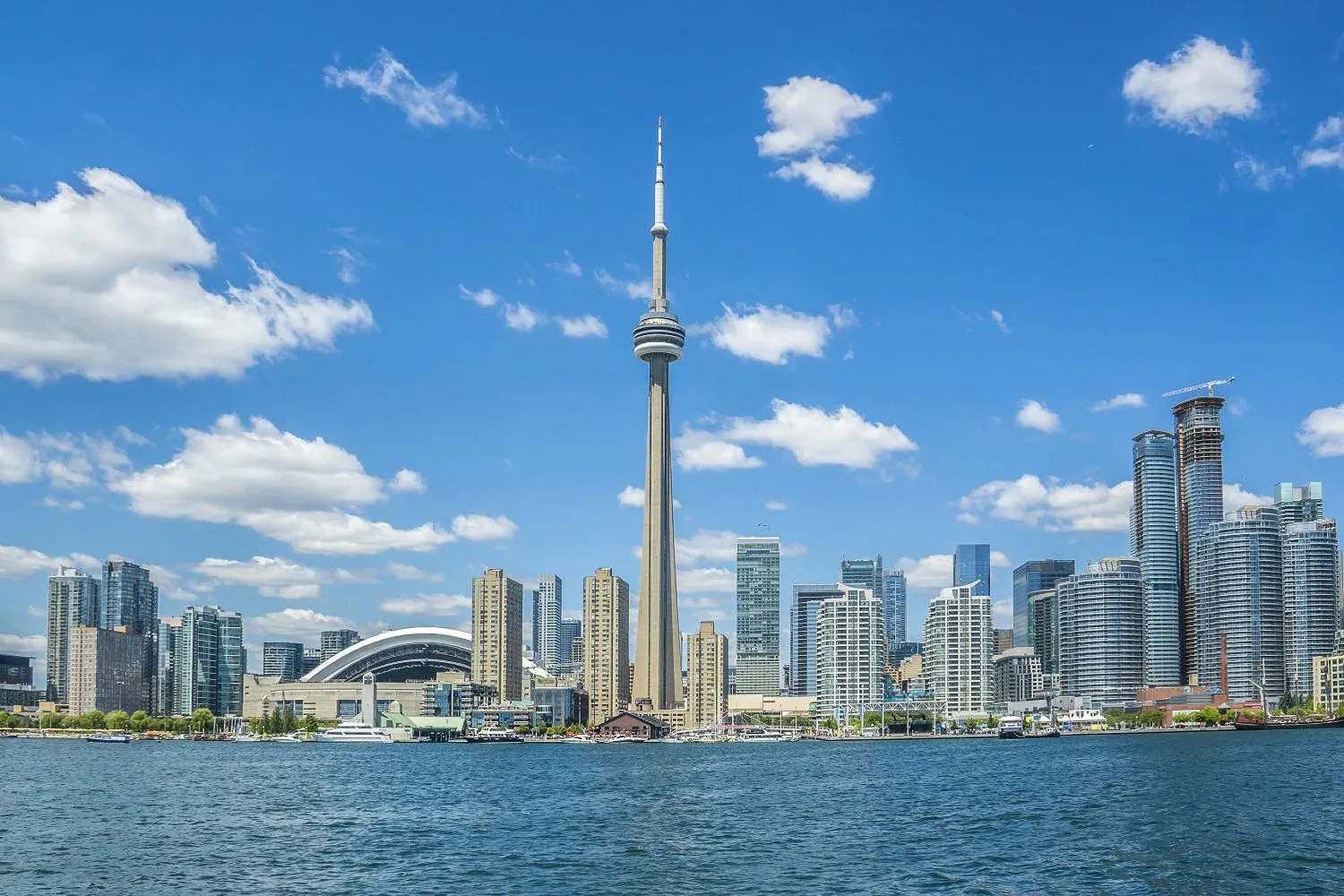 多伦多城市景色：白天的 CN Tower 与天际线，蓝天白云下从港湾望去（实景照片） / Toronto cityscape: the CN Tower and skyline in daytime, seen from the harbour under a blue sky (photograph)
